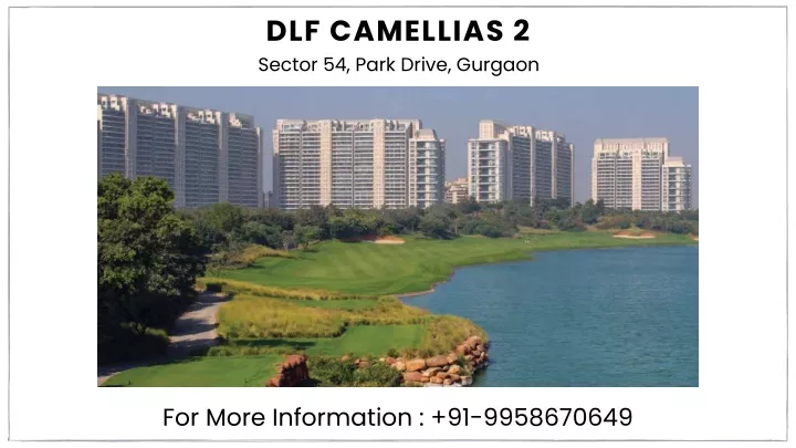 dlf camellias 2 sector 54 park drive gurgaon