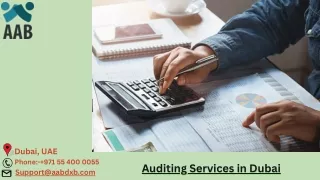 Auditing Services in Dubai