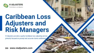 Best Loss Adjusters in Guyana | VI Adjusters