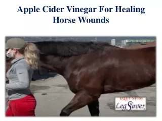 Apple Cider Vinegar For Healing Horse Wounds