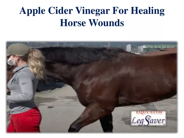 apple cider vinegar for healing horse wounds