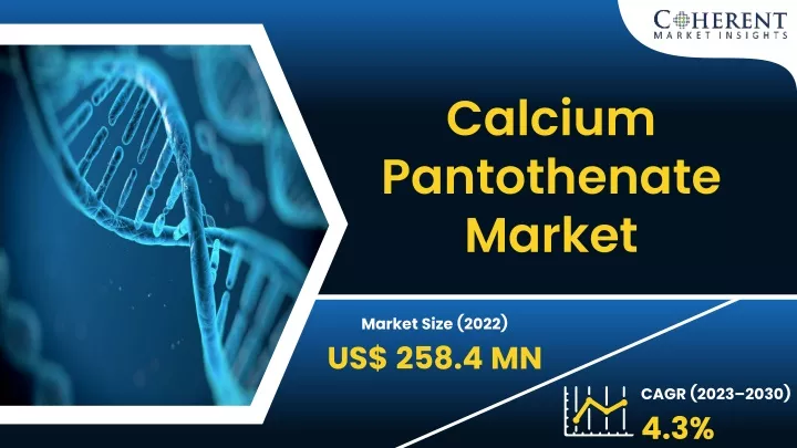 calcium pantothenate market