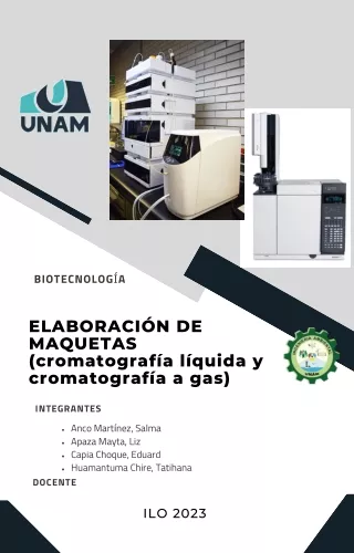 ELABORACIÓN DE MAQUETAS CON MATERIAL RECICLADO -  CROMATOGRAFO LIQUIDO Y DE GASES