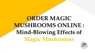 ORDER MAGIC MUSHROOMS ONLINE. Mind-Blowing Effects of Magic Mushrooms