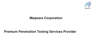 Premium Penetration Testing Services Provider