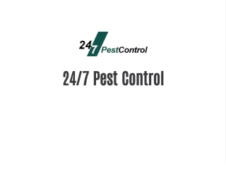 24/7 pest control