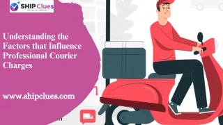 Understanding the Factors that Influence Professional Courier Charges