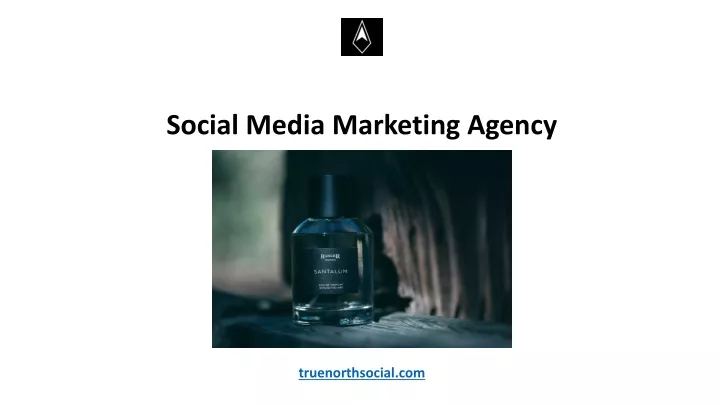 social media marketing agency truenorthsocial com