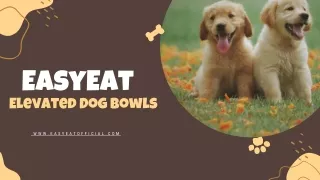 Premium Comfort Dining: EasyEat's Elevated Dog Bowls