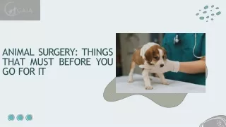 ANIMAL SURGERY THINGS THAT MUST BEFORE YOU GO FOR IT