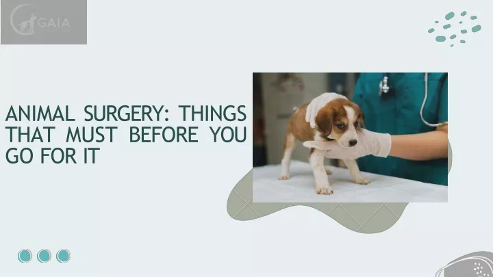 animal surgery things that must before you go for it