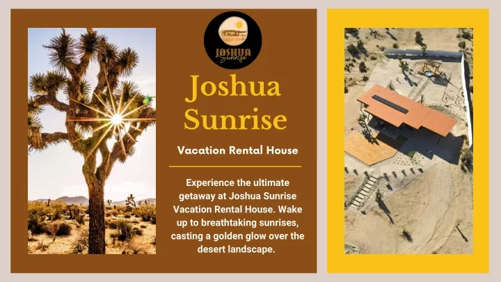 joshua sunrise