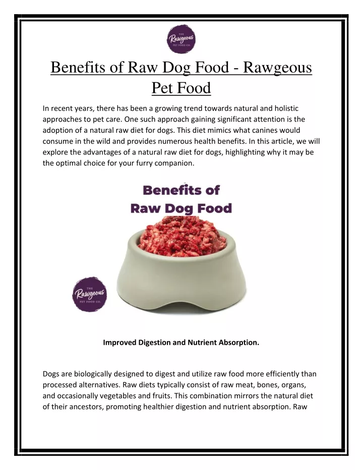 benefits of raw dog food rawgeous pet food