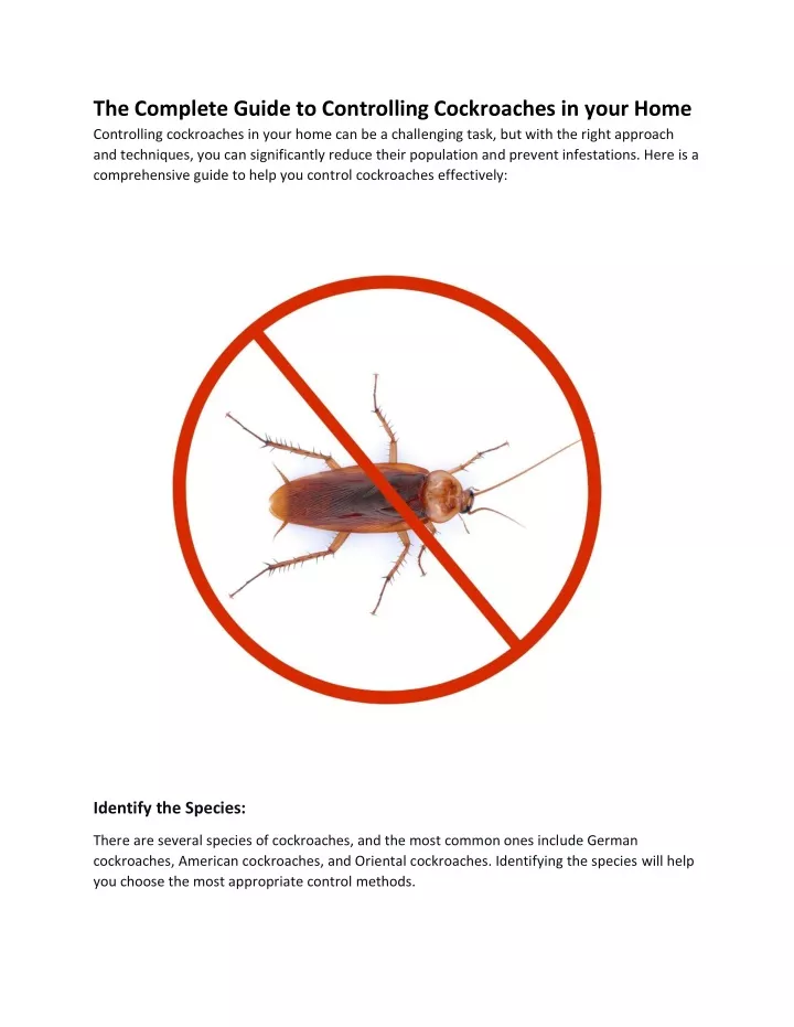 the complete guide to controlling cockroaches