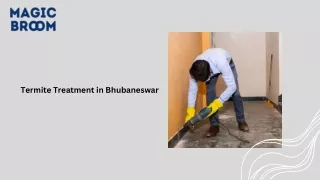 Termite Treatment in Bhubaneswar