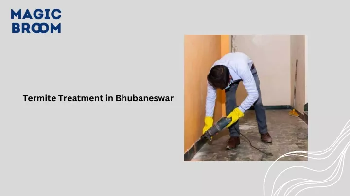 termite treatment in bhubaneswar