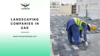 landscaping companies in uae