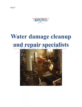 Water damage cleanup and repair specialists