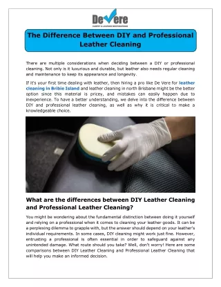 The Difference Between DIY and Professional Leather Cleaning