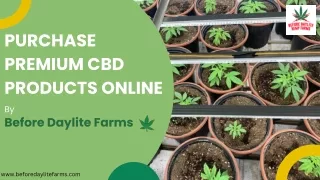 Purchase Premium CBD Products Online  Before Daylite Farms