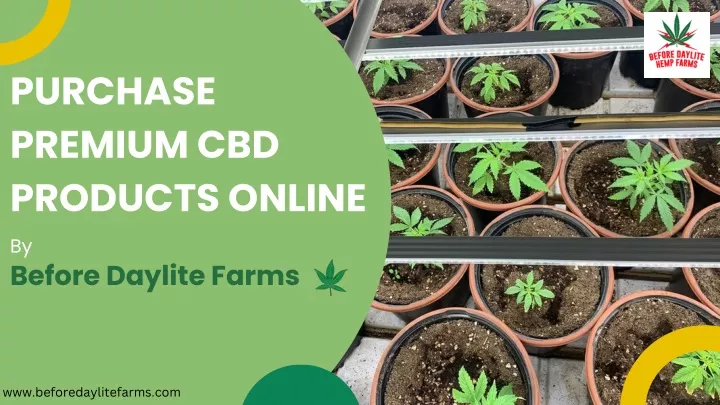 purchase premium cbd products online by before