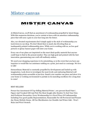 mister canvas