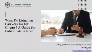 What Do Litigation Lawyers Do for Clients? A Guide for Individuals in Need