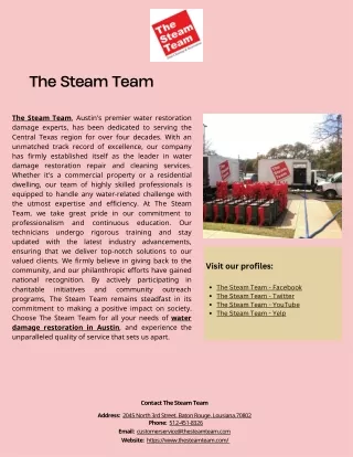 The Steam Team