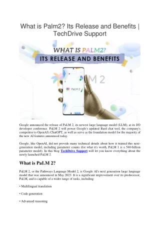 What is Palm2 Its Release and Benefits - TechDrive Support
