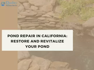Pond Repair in California: Restore and Revitalize Your Pond