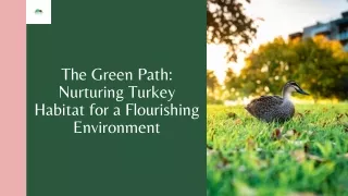 Enhancing Turkey Habitat: A Comprehensive Guide to Improving Wildlife Conditions
