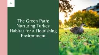 the green path nurturing turkey habitat