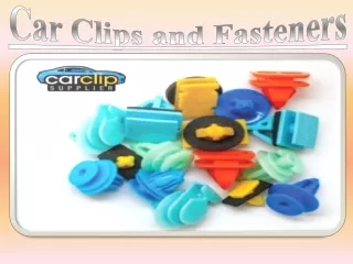 Car Clips and Fasteners