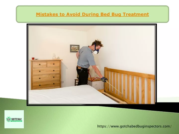 mistakes to avoid during bed bug treatment