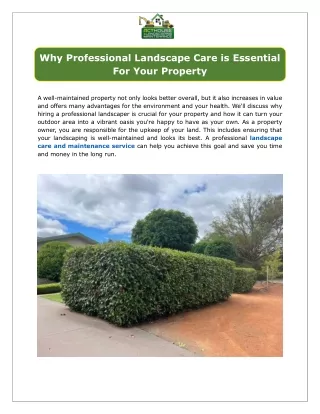 Why Professional Landscape Care is Essential for Your Property