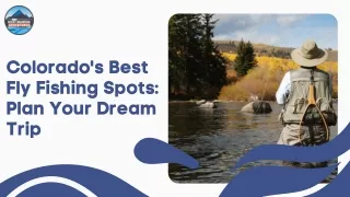 Colorado's Best Fly Fishing Spots Plan Your Dream Trip
