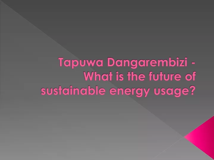 tapuwa dangarembizi what is the future of sustainable energy usage