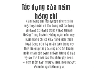 Tác dụng của nấm hồng chi