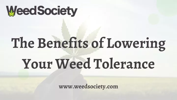 the benefits of lowering your weed tolerance