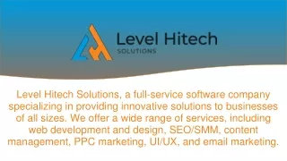 Professional SEO Services - Level Hitech Solutions