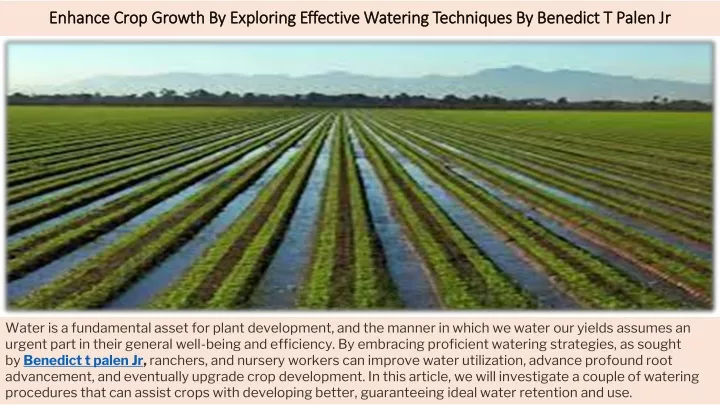 enhance crop growth by exploring effective watering techniques by benedict t palen jr
