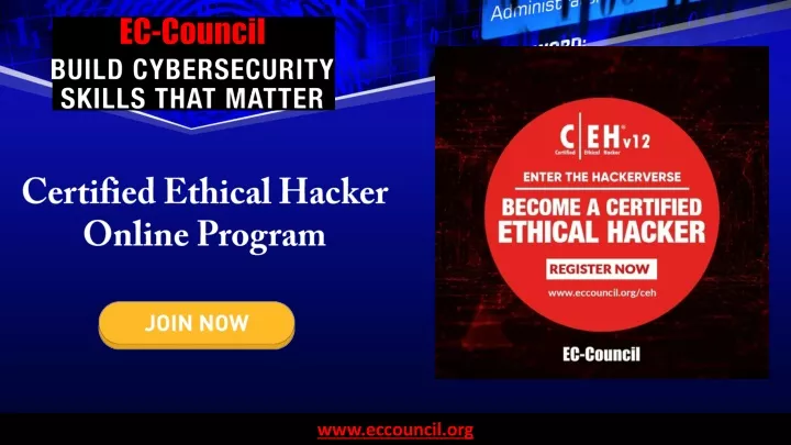 certified ethical hacker online program