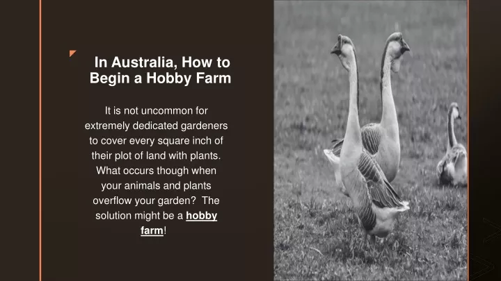 in australia how to begin a hobby farm
