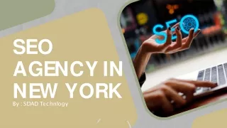 SEO Agency in New York (SDAD)