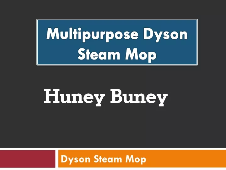 multipurpose dyson steam mop