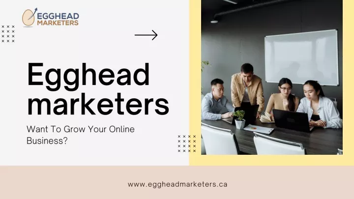 egghead marketers