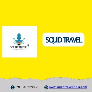 wildlife tour packages in India | Squid Travel