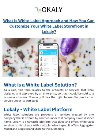 What Is White Label Approach and How You Can Customize Your White Label Storefront in Lokaly