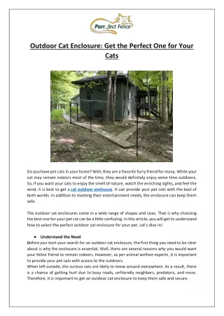 Outdoor Cat Enclosure: Get the Perfect One for Your Cats