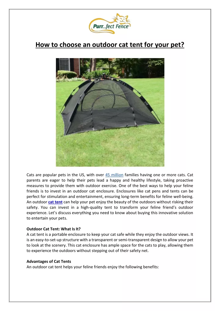 how to choose an outdoor cat tent for your pet